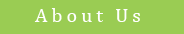 about us  button