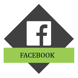 LZT facebook