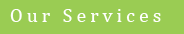 Our Services button